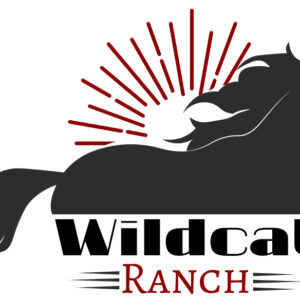 Logo for Wildcat Ranch featuring a black horse silhouette in motion with stylized red sun rays behind it. Below the horse, “Wildcat” in bold black and “Ranch” in red—showcasing a giveback spirit benefiting vets and youth.