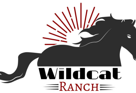 Logo for Wildcat Ranch featuring a black horse silhouette in motion with stylized red sun rays behind it. Below the horse, “Wildcat” in bold black and “Ranch” in red—showcasing a giveback spirit benefiting vets and youth.