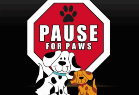 Two cartoon dogs sit in front of a red stop sign with a paw print at the top. The sign reads Pause for Paws. The background is black, making the sign and dogs stand out.