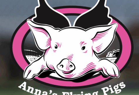 Cartoon illustration of a smiling pig with black wings inside a pink and black oval, with the text Anna’s Flying Pigs in white below the image.