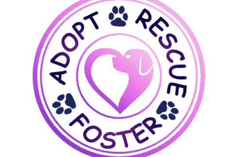 A circular purple badge with paw prints and the words Adopt, Rescue, and Foster, surrounding a heart-shaped outline of a dog and a cat facing each other—Giveback benefiting Vets for Youth.