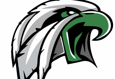 A stylized illustration of an eagle's head with a green beak and mouth, white and gray feathers, and a fierce expression, set against a white background, symbolizing Giveback Benefiting Vets for Youth.