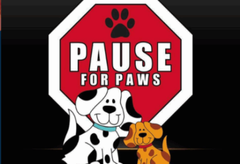 Two cartoon dogs sit in front of a red stop sign featuring a black paw print and the words Pause for Paws. The background is black, and the sign suggests taking time for pets.