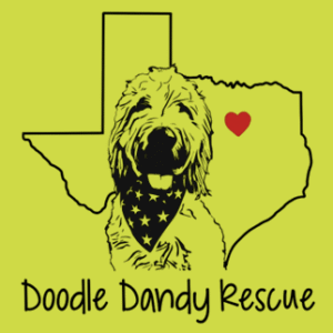 A doodle dog wearing a star-patterned bandana is in front of an outline of Texas with a red heart. The text Doodle Dandy Rescue is written below. The background is yellow-green.