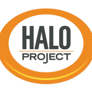 Logo with the words HALO PROJECT inside an orange oval ring on a light gray background. HALO is in large gray letters above PROJECT in smaller orange letters, highlighting its giveback mission benefiting vets for youth.