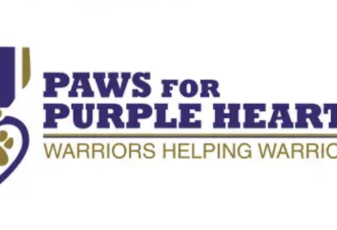 Logo featuring a purple medal with a paw print and the text PAWS FOR PURPLE HEART in bold purple letters above WARRIORS HELPING WARRIORS in gold.