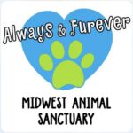 Logo for Always & Furever Midwest Animal Sanctuary featuring a large blue heart with a green paw print in the center, benefiting Vets for Youth, and the sanctuary name written in bold, playful fonts.
