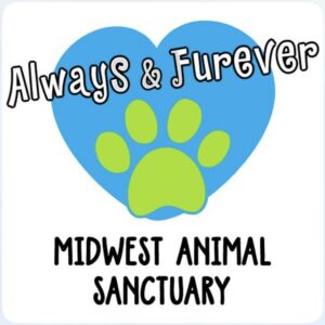 Logo for Always & Furever Midwest Animal Sanctuary featuring a large blue heart with a green paw print in the center, benefiting Vets for Youth, and the sanctuary name written in bold, playful fonts.