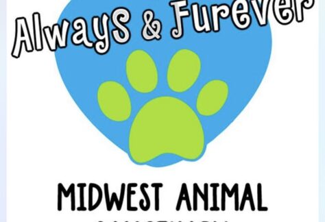 Logo for Always & Furever Midwest Animal Sanctuary featuring a large blue heart with a green paw print in the center, benefiting Vets for Youth, and the sanctuary name written in bold, playful fonts.
