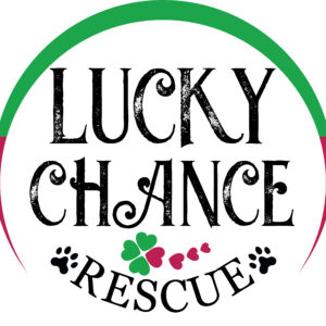 A logo reading Lucky Chance Rescue with a green and red arc above, green and pink heart-shaped clovers below, black paw prints on either side of "Rescue," Giveback Benefiting Vets for Youth.