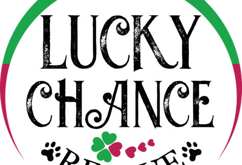 A logo reading Lucky Chance Rescue with a green and red arc above, green and pink heart-shaped clovers below, black paw prints on either side of "Rescue," Giveback Benefiting Vets for Youth.