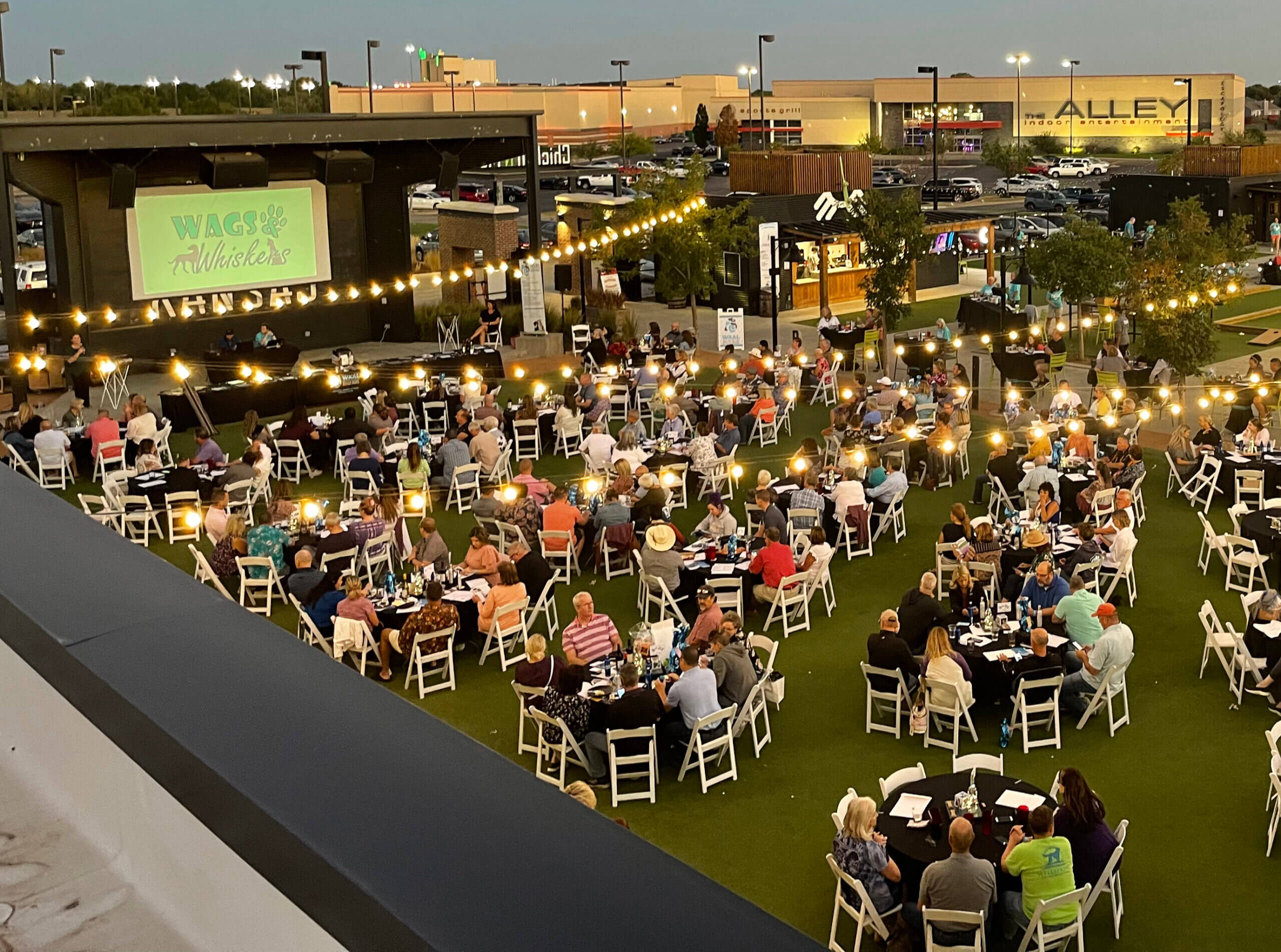 An outdoor evening event with many people seated at round tables on a lawn, under string lights. A stage with a large screen reads “Wags & Whiskers.” Buildings and parked cars are visible in the background.