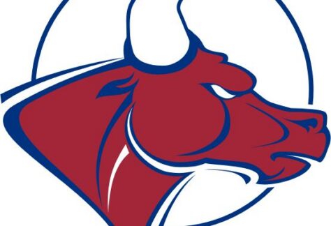 A stylized illustration of a red bulls head with prominent white horns, outlined in blue, set against a circular blue background. The bulls expression appears strong and determined.