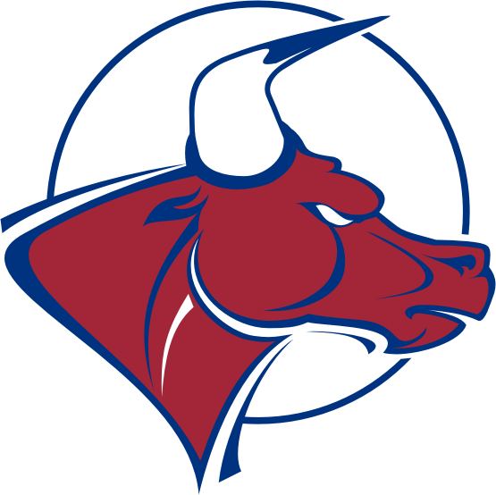 A stylized illustration of a red bulls head with prominent white horns, outlined in blue, set against a circular blue background. The bulls expression appears strong and determined.