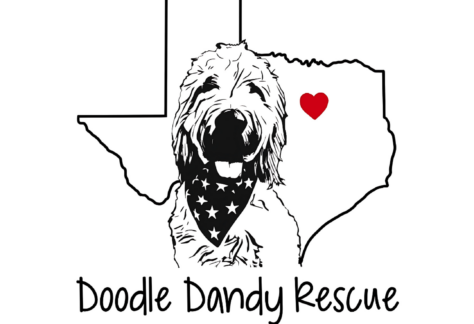 A doodle dog wearing a star-patterned bandana is in front of a Texas outline with a red heart. Text reads Doodle Dandy Rescue.