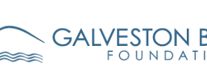 Logo of the Galveston Bay Foundation featuring a stylized bird and shoreline on the left, with the organizations name in blue text on the right.