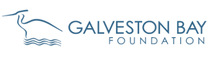Logo of the Galveston Bay Foundation featuring a stylized bird and shoreline on the left, with the organizations name in blue text on the right.