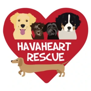 Logo of HavaHeart Rescue featuring a red heart with illustrations of four dogs inside and one dachshund walking in front. The text “HAVAHEART RESCUE” appears in white letters inside the heart, celebrating compassionate events like the 10% Giveback Night Benefiting The Arya Foundation at Chicken N Pickle.