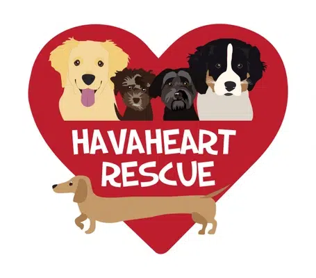 Logo of HavaHeart Rescue featuring a red heart with illustrations of four dogs inside and one dachshund walking in front. The text “HAVAHEART RESCUE” appears in white letters inside the heart, celebrating compassionate events like the 10% Giveback Night Benefiting The Arya Foundation at Chicken N Pickle.