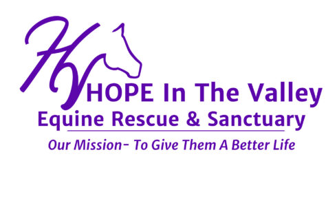 Logo for Hope In The Valley Equine Rescue & Sanctuary, featuring a stylized “HV” with a horse head outline. Below, the text reads: “Our Mission– To Give Them A Better Life.” All text is in purple.