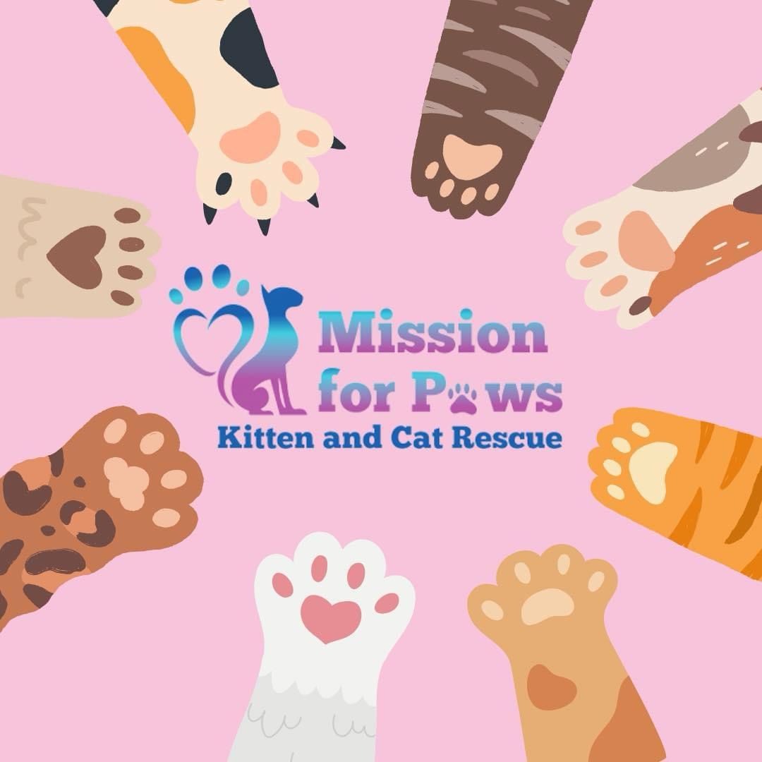 Illustration of various cat paws forming a circle around the text Mission for Paws Kitten and Cat Rescue on a pink background. Each paw has a different color and pattern.