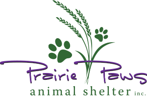 Prairie Paws Animal Shelter logo with green paw prints and grass above the words Prairie Paws in purple script and animal shelter inc. in green text below, featured as part of a 10% Giveback Night Benefiting KC Kansas Angels at Chicken N Pickle.