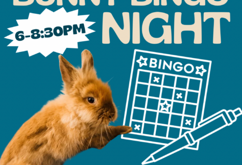 Event flyer for Bunny Bingo Night features a brown bunny, a bingo card, and text with event details. $25 tickets, hosted at Chicken N Pickle, July 24th, 6–8:30 PM, 5215 UTSA Blvd. Prizes available.