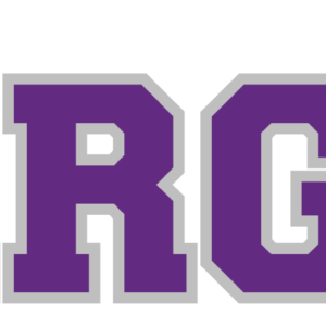 The word STARGATE in bold, purple, block letters with a gray outline. The S features a stylized eagle head integrated into its design, commemorating the 10% Giveback to Bodhi Battalion Giveback Event at Chicken N Pickle.