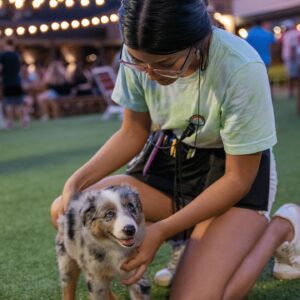 A woman kneels on grass, gently petting a small, fluffy Australian Shepherd puppy. String lights and people are visible in the background during what appears to be an evening outdoor event—the 10% Giveback to Bodhi Battalion Giveback Event at Chicken N Pickle.