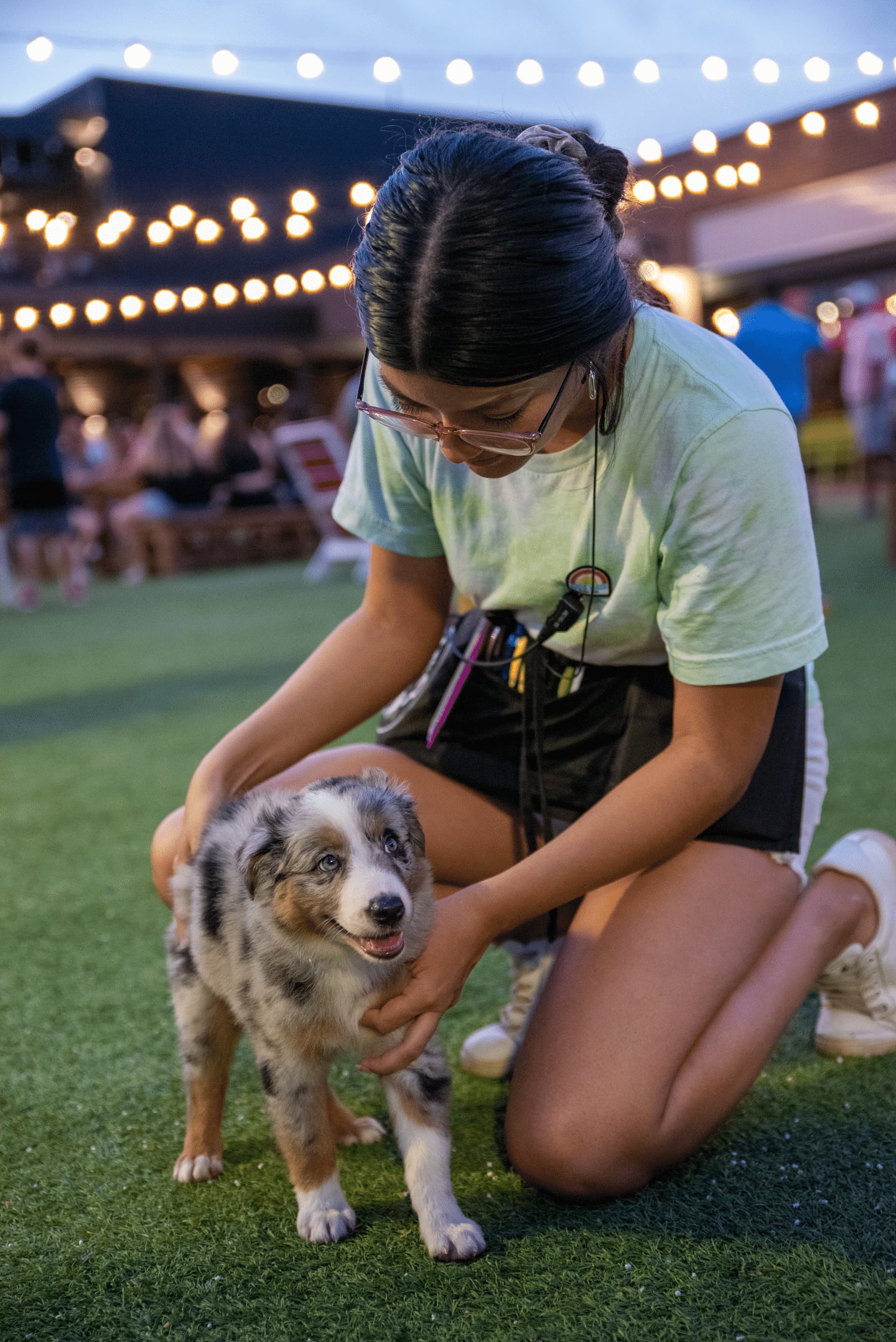 A woman kneels on grass, gently petting a small, fluffy Australian Shepherd puppy. String lights and people are visible in the background during what appears to be an evening outdoor event—the 10% Giveback to Bodhi Battalion Giveback Event at Chicken N Pickle.