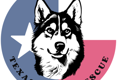 Logo for Texas Husky Rescue featuring a huskys face over a blue, white, and red background with a white star, text Est. 2009 at top, and Texas Husky Rescue at bottom.