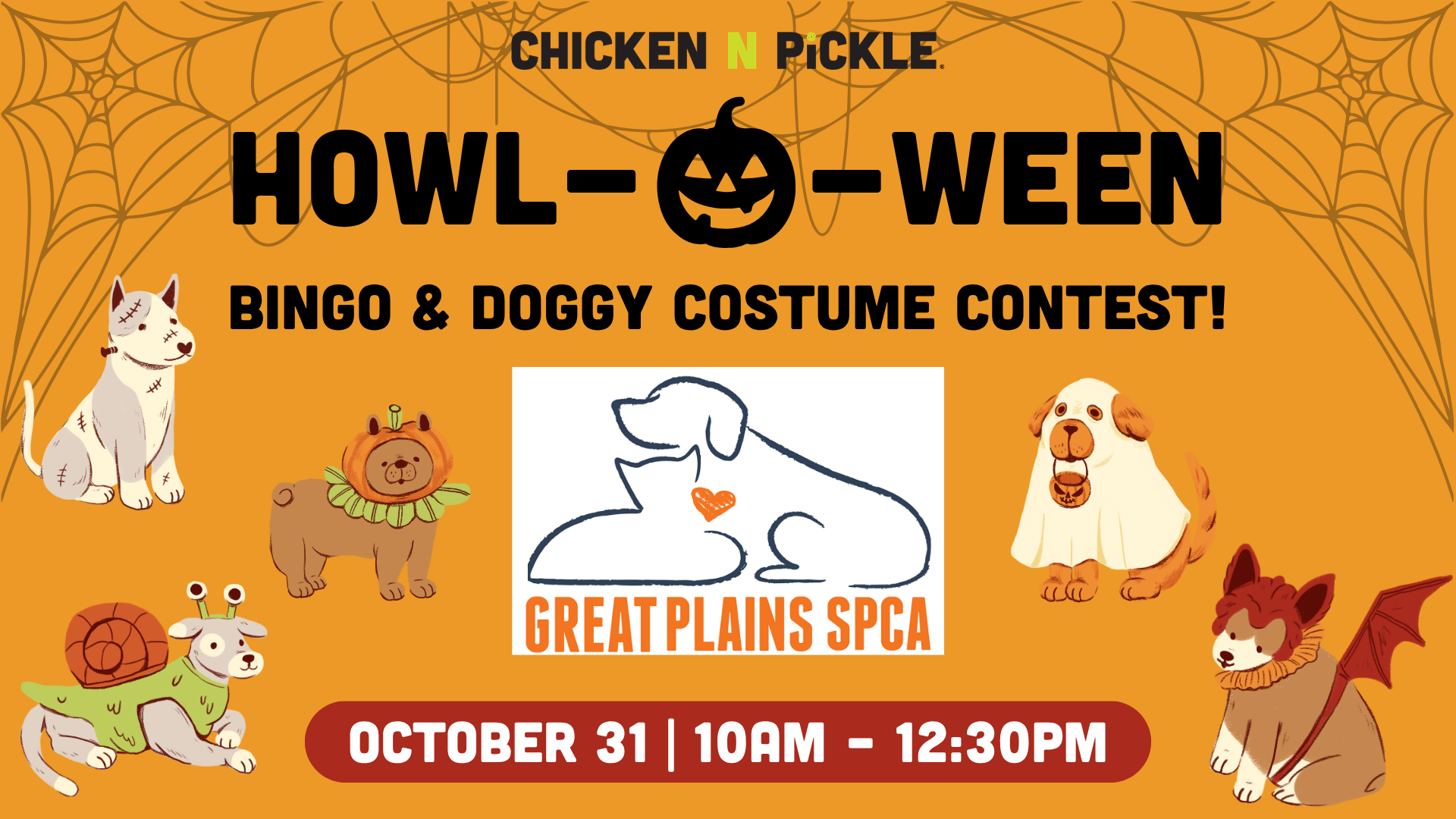 Orange Halloween-themed event flyer with cartoon dogs in costumes, spider webs, and event details: Howl-oween Bingo & Doggy Costume Contest, hosted by Great Plains SPCA at Chicken N Pickle, Oct 31, 10am-12:30pm.
