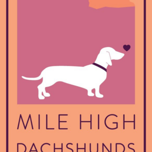 A white dachshund with a heart near its nose stands before purple mountains; text below reads Mile High Dachshunds Rescue on an orange background, celebrating a 10% Giveback to Bodhi Battalion Giveback Event at Chicken N Pickle.