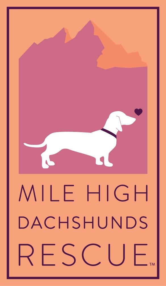 A white dachshund with a heart near its nose stands before purple mountains; text below reads Mile High Dachshunds Rescue on an orange background, celebrating a 10% Giveback to Bodhi Battalion Giveback Event at Chicken N Pickle.